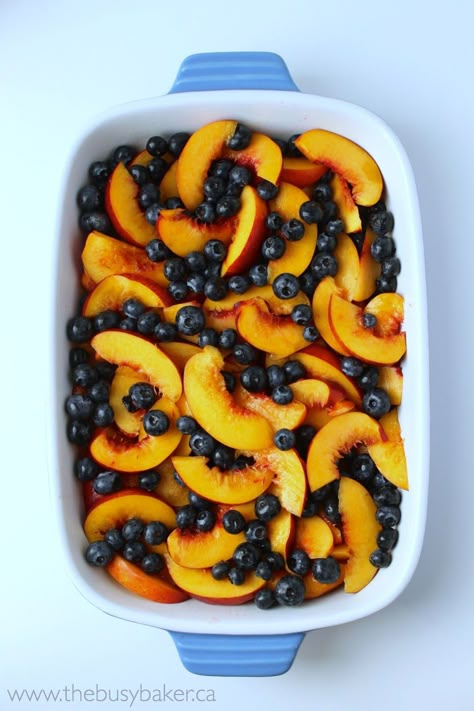 The Busy Baker: Blueberry Nectarine Cobbler Fresh Fruit Baked Goods, Things To Do With Nectarines, Nectarines Recipes Dessert, What To Make With Nectarines, What To Do With Nectarines, Blueberry Nectarine Cobbler, Nectarine Recipes Healthy, Nectarine Dessert, Blueberry Nectarine