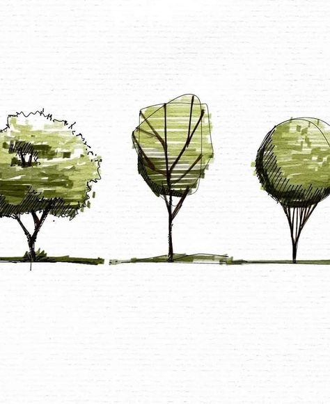 Landscape Architecture Section, Architectural Trees, Copic Drawings, Landscape Design Drawings, Architecture Sketches, Landscape Architecture Drawing, Learn Watercolor Painting, Tree Sketches, Interior Design Sketches