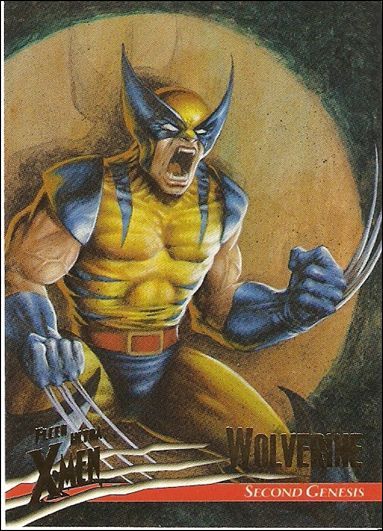 Wolverine ('96) Berserker Rage, Dell Otto, Comic Boom, Comic Script, Xmen Art, Wolverine Comic, Xmen Comics, Marvel And Dc Characters, Wolverine Art