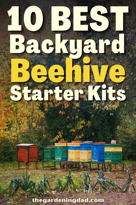 Beehive Placement, Bee Hive Kits, Bee Business, Bee Equipment, Honey Bee Farming, Backyard Beehive, Bee Hives Diy, Bee Farming, Backyard Beekeeping