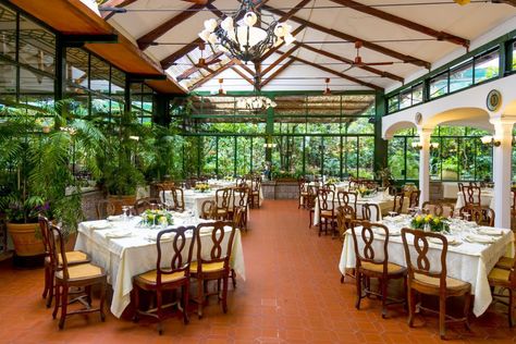 The Best Restaurants in Sorrento Italy | Exceptional Villas Sorrento Italy Restaurant, Best Restaurants In Sorrento Italy, Sorrento Restaurants, Italy Tour, Italy Restaurant, Italy 2023, Florence Italy Travel, Celebrity Cruise, Toscana Italy