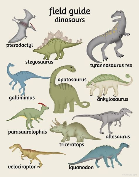 Dinosaur Poster, Dinosaur Nursery Art, Dinosaur Nursery Decor, Dinosaurs Preschool, Dinosaur Tracks, Dinosaur Posters, Kids Room Poster, Dinosaur Room, Woodworking Shows