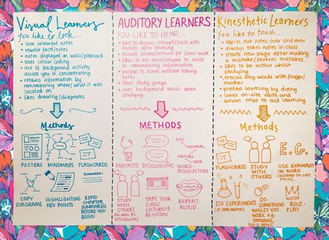 Know Your Learning Type Auditory Learners, Study Techniques, Study Methods, Visual Learning, Learning Style, School Related, College Study, Student Organization, Visual Learners