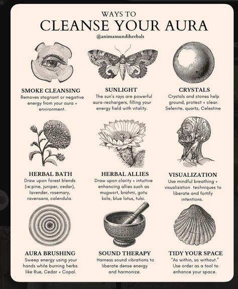 Cleanse your Aura #spirituality #raiseyourvibration Cleanse Aura, Aura Colors Meaning, Cleanse Your Aura, Aura Cleansing, Student Life Hacks, Spiritual Cleansing, Aura Colors, Spiritual Health, Balanced Lifestyle