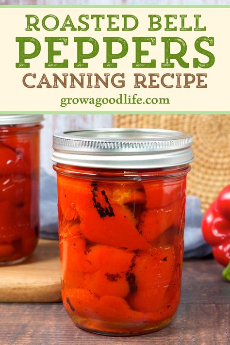 How To Can Roasted Red Peppers, Ways To Preserve Bell Peppers, Bell Pepper Preserving, Preserving Bell Peppers, Canning Roasted Red Peppers, Canning Bell Peppers, How To Roast Peppers, Roast Peppers, Canning Peppers