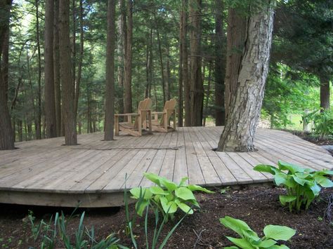 Custom Built Deck in the Trees Outdoor Seating Under Trees, Decks Built Around Trees, Pnw Deck Ideas, Deck Built Around Tree, Deck With Trees Through Them, Deck In Woods, Tree Deck Platform, Deck Around Tree Ideas, Decks Around Trees