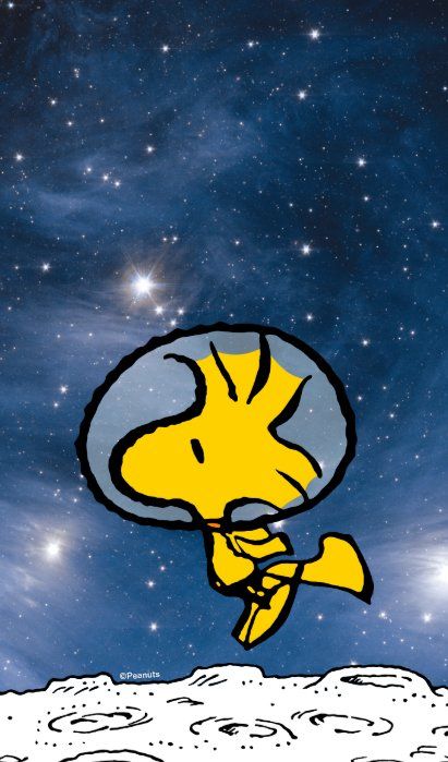 Loris Animal, Charlie Brown Wallpaper, Mickey Mouse Background, Epic Backgrounds, Peanuts Wallpaper, Snoopy Tattoo, Snoopy Stuff, Woodstock Snoopy, Woodstock Peanuts