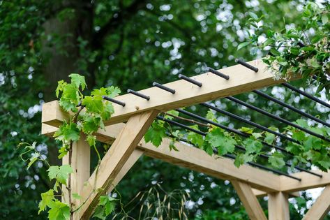 Discover some of the best plants for growing up and over garden pergolas, including climbing plants for fruit and scent – from BBC Gardeners' World Magazine. Pergola Corner, Small Pergola, Building A Pergola, Pergola Lighting, Garden Vines, Pergola Canopy, Best Plants, Wooden Pergola, Backyard Pergola