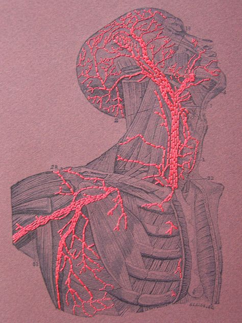 Illustration Kunst, Medical Art, Junji Ito, Red Thread, Paper Embroidery, Sketchbook Art, A Level Art, Art And Illustration, Anatomy Art