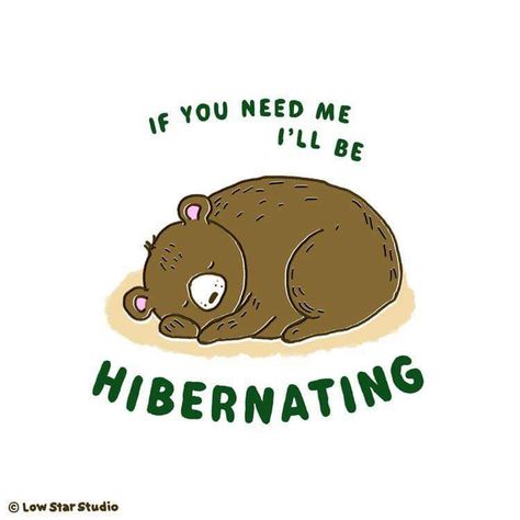 Hibernation Quotes, Introvert Meme, Introverts Unite, Introverted, Quotes Life, I Need You, Female Artists, Art Day, Funny Quotes