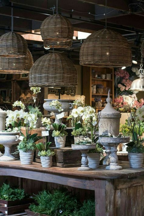 Ideas For The Garden, Garden Center Displays, Flower Shop Interiors, Rogers Gardens, Flower Store, Florist Shop, Garden Cafe, Garden Rooms, Flower Studio