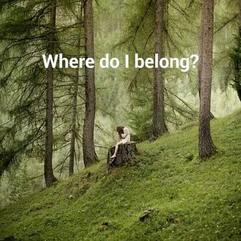 Where do I belong? If I keep being myself, I'm sure I'll fit in somewhere. I'm just curious as to where my heart belongs. Where Do I Belong, Being Myself, Fit In, My Heart, Country Roads, Essence, Quick Saves