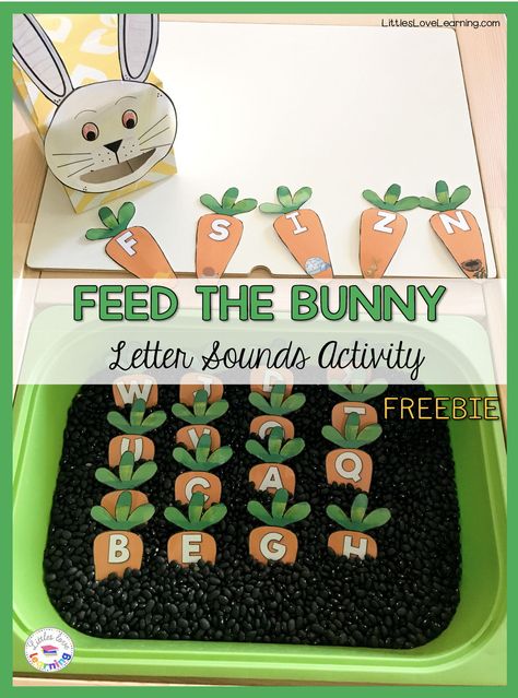 FREE Feed the Bunny game for preschool, pre-k, & kindergarten. This free printable includes a bunny face & 26 carrots with the letter/ beginning sound picture on each. Students will feed the carrots to the bunny to practice the alphabet (phonics). The bunny is made from an empty square tissue box. Make this letter activity even more fun by putting the carrots into a sensory bin! Sensory bin filler ideas include black beans, Easter grass, or colored rice. Great game for Easter or spring! Feed The Bunny Activity, Easter Activities For Preschool, Bunny Game, Bunny Activities, Letter Activity, Game For Preschool, Easter Kindergarten, Letter Sound Activities, Easter Lessons