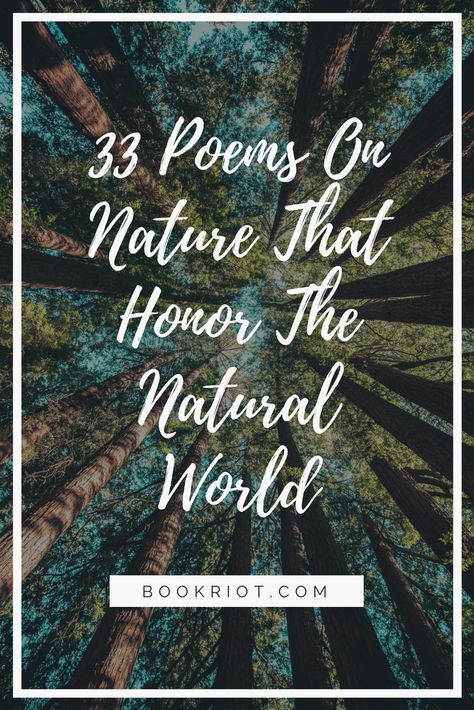 33 poems about nature that honor the natural world.  poetry | nature poems | poems about nature Poems About The Forest, Poem About Nature Beauty, Poetry About Nature, Poem About Nature, Poems About Nature, Poem Nature, Nature Poems, English Poem, Connect To Nature