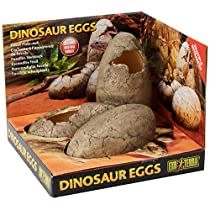 Dinosaur Egg Fossil, Python Royal, Reptile Decor, Reptile Hide, Exo Terra, Eggs For Sale, Beautiful Terrariums, Dinosaur Egg, Reptile Terrarium