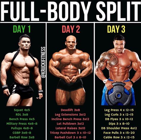 Full Body Split, Push Pull Workout, Full Body Workout Plan, Best Workout Routine, Full Body Workouts, Full Body Workout Routine, Workout Splits, Weight Training Workouts, Body Workout Plan