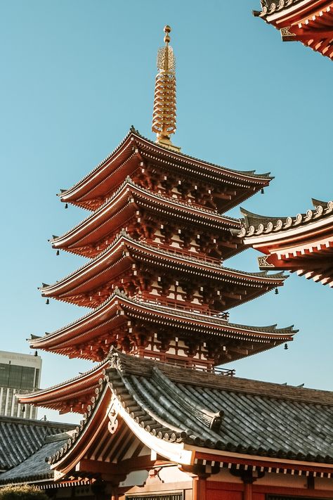 Visit Tokyo's oldest temple. Check out our blog post for a three day itinerary to see the highlights of Tokyo, Japan. Japan Museum, Digital Art Museum, Serenitea Pot, Tokyo Temple, Tokyo Photography, Things To Do In Tokyo, Sensoji Temple, Komodo Island, Temple Photography