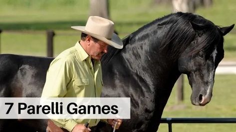 Parelli 7 Games, Parelli Natural Horsemanship, Parelli Horsemanship, Donkey Training, Natural Horsemanship Training, Riding Exercises, Horse Training Exercises, Horseback Riding Tips, Show Jumping Horses