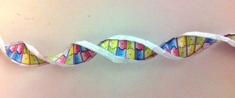 Origami DNA Foldables Templates, Pdf Templates, Science Activities, Life Science, Classroom Ideas, Biology, Ruler, Origami, Pen