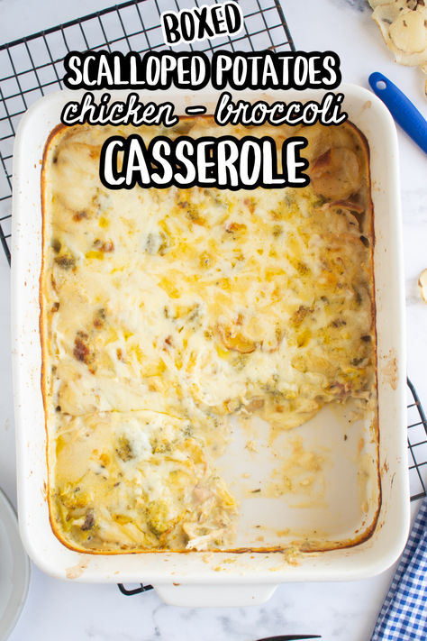 If you have a box of scalloped potatoes in your pantry, you NEED to make this easy, comforting, creamy potato chicken casserole! Boxed Scalloped Potatoes, Scalloped Potatoes With Cream, Potato Chicken Casserole, Scalloped Potato Casserole, Chicken Potato Casserole, Potatoes Chicken, Scalloped Potatoes Easy, Scalloped Potato, Au Gratin Potato Recipes