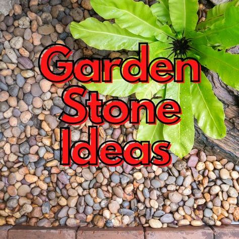 10 Creative Garden Stone Ideas To Spruce Up Your Yard Garden Stones Landscape, Garden Stone Ideas, Stone Garden Ideas, Moving Plants, Stone Ideas, Garden Stepping Stones, Stone Fountains, Gardening Techniques, Stone Planters