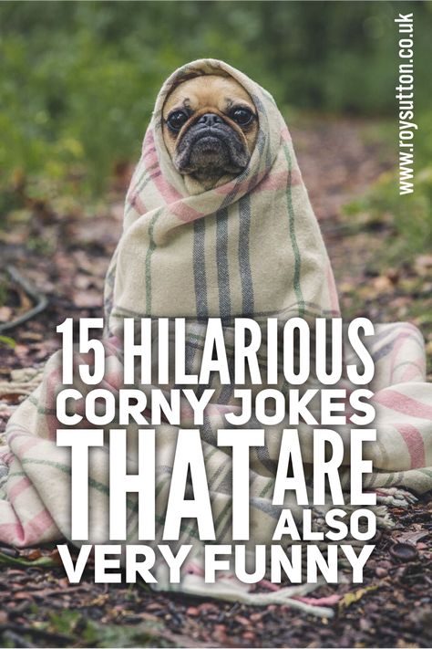 Lunch Jokes, Corny Puns, Funny Corny Jokes, Best Dad Jokes, Witty Jokes, Cheesy Jokes, Clean Funny Jokes, Funny Jokes To Tell, Corny Jokes