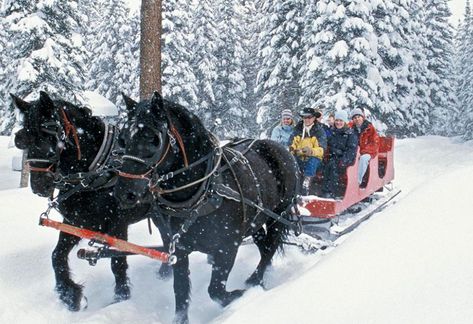 Durango Colorado Winter, Horse Drawn Sleigh, Colorado Christmas, Southwest Colorado, Pagosa Springs, Colorado Winter, Durango Colorado, Ski Town, Colorado Vacation