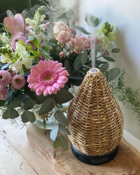 . Two things I love; my diffuser and fresh flowers 🌸 #smellgoodfeelgood #diffuser #freshflowers #pink #zendecor #goodvibes #scentsysnapshot #homesweethome #instahome Scentsy Oil Diffuser, Scentsy Essential Oils, Scentsy Diffuser, Scentsy Oils, Alcohol Free Fragrance, Earthy Fragrance, Warm Fragrance, Zen Decor, Essential Oil Scents