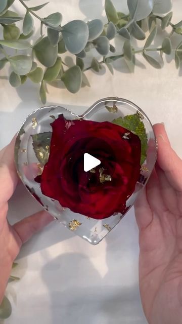 555 likes, 24 comments - craft.resin el May 10, 2024: "Discover the charm of @craft.resin as it turns dried roses into an everlasting heart-shaped gem 🥺 Known for its durability and glossy finish, Craft Resin ensures my floral artistry is preserved with elegance. It’s water-resistant and offers excellent chemical resistance, making each creation a durable masterpiece. Join me in this artful journey with Craft Resin, where beauty is eternal 🌹✨ Use my code LJP20 to save 20% in the craft-resin. Rose Preserved In Resin, Rose Preservation, Dried Roses, Craft Resin, Heart Crafts, How To Preserve Flowers, Resin Crafts, Join Me, Resin Art