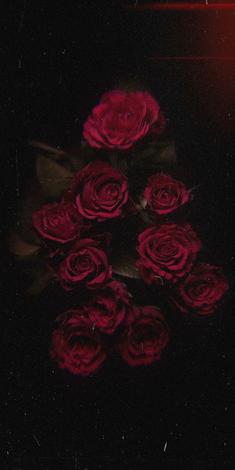 Rose Wallpaper Iphone Background Roses, Rose Flowers Drawing, Flower Pot Drawing, Red Flower Wallpaper, Flower Images Wallpapers, Decoration Craft Ideas, Pot Drawing, Wine Wallpaper, Black Roses Wallpaper