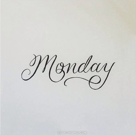 Lunes - Monday!!! Apricot Tea, Love Mondays, Monday Monday, Entertaining House, Chloe Rose, Monday Quotes, Beautiful Calligraphy, July 1st, Rose Boutique