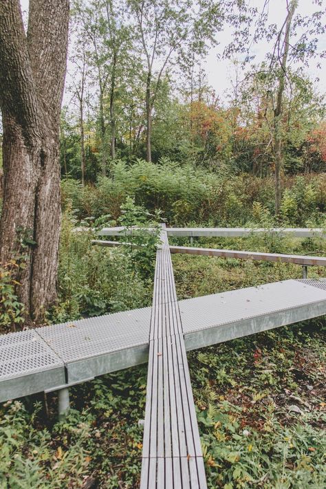 Paths in a nature park in Montreal. Preservation Architecture, Landscape Architecture Park, Sustainable Landscape, Pathway Landscaping, Sustainable Landscaping, Nature Park, Urban Park, Urban Furniture, Nature Play