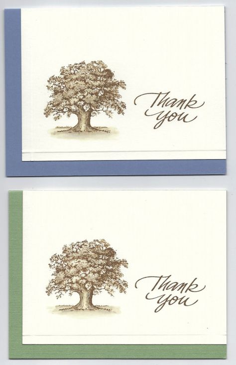 Stampin Up Male Thank You Cards, Manly Thank You Cards, Su Thank You Cards Simple, Stampin Up Thank You Cards For Men, Stamped Thank You Cards, Stamping Up Thank You Cards Simple, Male Thank You Cards Handmade, Su Lovely As A Tree, Stampin Up Masculine Thank You Cards