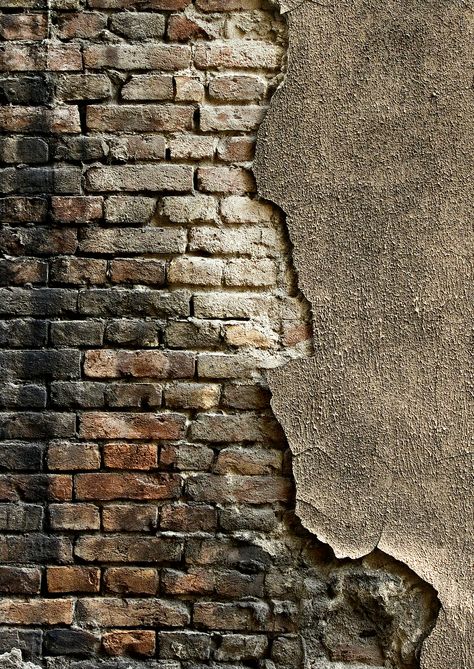 Brick Wall Color Palette, Old Brick Wall Texture, Modern Textured Walls, Home Gum, Brick Wall Texture, Old Brick Wall, Break Wall, Brick Texture, Masonry Wall