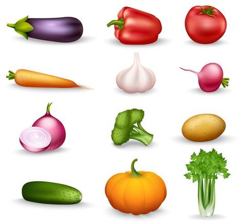 Garlic Vector, Parsley Carrots, Food Groups For Kids, Vitamin Foods, Isolated Icons, Vegetables Illustration, Healthy Restaurant Food, Thanksgiving Vegetables, Colorful Icons