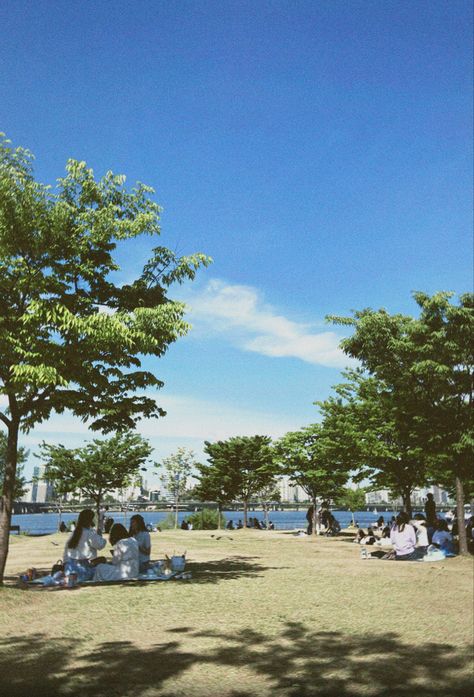 Han River Picnic, River Picnic, Hangang River, Picnic Inspiration, Han River, Dolores Park, Vision Board, Gap, Travel