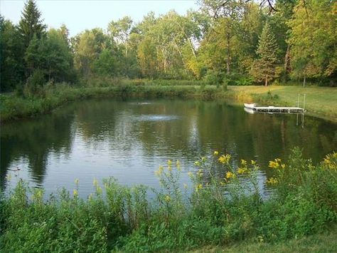 Pond design Farm Pond, Building A Pond, Natural Swimming Ponds, Patio Grande, Fountains Backyard, Swimming Pond, Pond Landscaping, Backyard Water Feature, Natural Pond