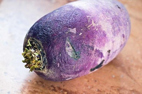 not lazy. rustic.: pickled korean purple radish Purple Radish, Daikon Radish, Radish Recipes, Right Decision, Fermented Foods, Eggplant, Pickles, New Recipes, Avocado