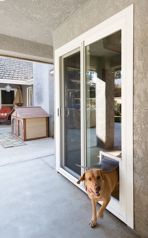 Sliding Door With Doggie Door, Doggy Doors To Outside, Glass Dog Door, Sliding Glass Dog Door, Doggy Doors, Dog Run Side Yard, Patio Dog Door, Large Dog Door, Doggy Door