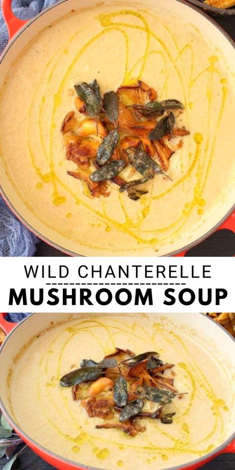 Easy, healthy and vegan, this creamy chanterelle mushroom soup recipe is the best I’ve had, made with flavorful golden wild chanterelles, finished with a light touch of coconut cream and crispy sage. Creamed Mushroom Soup, Cream Of Wild Mushroom Soup, Sage Soup Recipe, Chanterelle Soup Recipes, Mushroom Linguine Recipes, Chanterelle Mushroom Soup Recipes, Cream Of Chanterelle Soup, Chanterelle Recipes Vegan, Chicken Chanterelle Mushroom Recipes