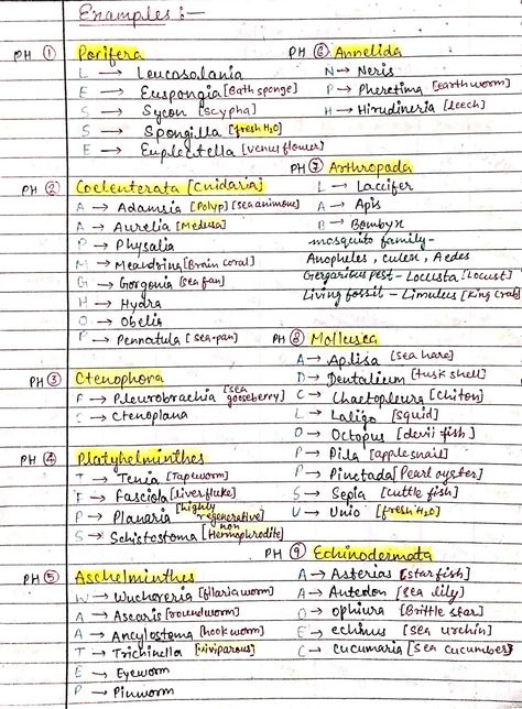 Animal Kingdom Biology, Animal Kingdom Mind Map, Important Notes For Neet, Animal Kingdom Tricks Neet, Short Notes Of Biology, Excretory Products And Their Elimination Neet Notes, Ncert Notes For Neet, Neet Short Tricks, Animal Kingdom Chart For Neet