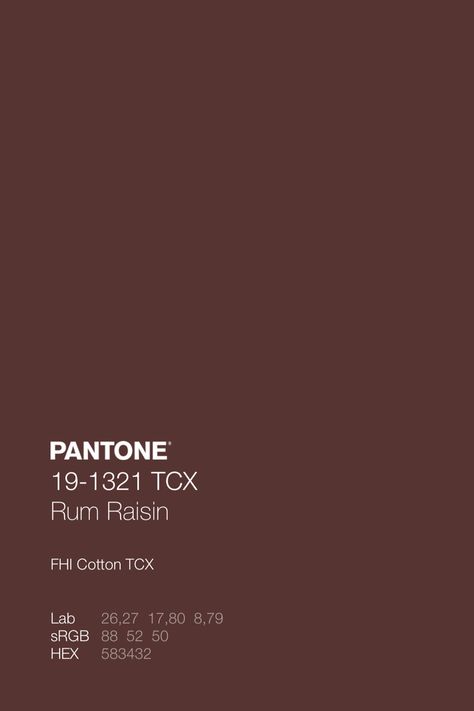 Pantone Orange, Brown Pantone, Pantone Tcx, Door Design Images, Rum Raisin, Pantone Palette, Pantone Colour Palettes, Design Palette, Fall Color Palette