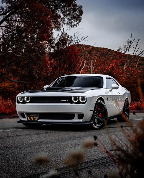 Doge Challenger, Dodge Car, American Muscle Cars Dodge, Dodge Hellcat, Dodge Demon, Dodge Challenger Hellcat, Plymouth Road Runner, Dream Cars Bmw, Plymouth Duster