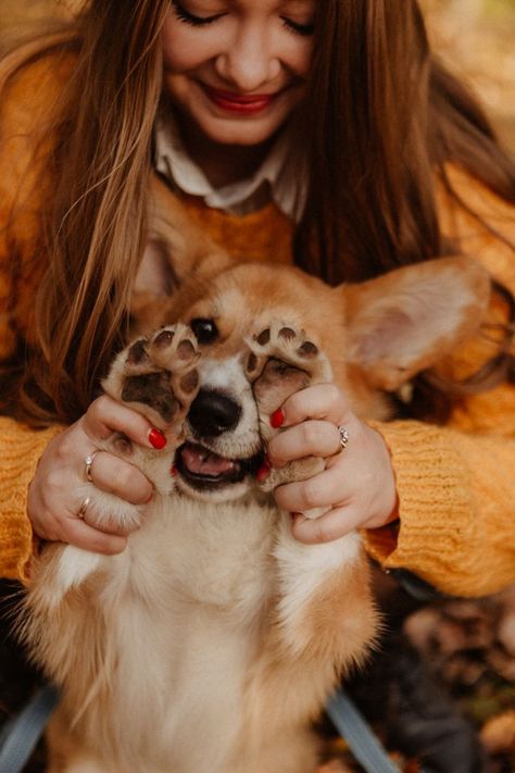 #animals #dogs #dogbeautiful #AnimalPhotography #animalslove #catslovers #cutecats Dog Owner Photoshoot, Dog Birthday Photoshoot, Dog Family Pictures, Family Dog Photos, Dog Photography Poses, Dog Emotions, The Symbiotic Relationship Between, Animal Photoshoot, Photos With Dog