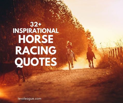 Racehorses are specifically bred for competitive sports. They are expensive not only in terms of buying price but also in terms of maintenance. Be it derby or equestrian sports, racehorses are sights to behold in the horse race tracks. As a public spectacle, there are a lot of quotes associated with horse racing.  Some are […] Horse Racing Quotes, Race Day Quotes, Winner Quotes, Good Luck Today, Racing Quotes, Inspirational Horse Quotes, Horse Galloping, American Legend, Equestrian Sports