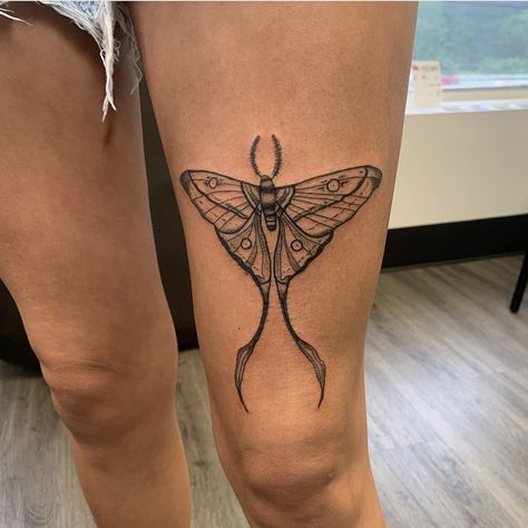 Luna Moth Tattoos For Women, Luna Moth Knee Tattoo, Tattoo Above Knee, Luna Moth Tattoo, Tattoo Pieces, Moth Tattoo Design, Wrap Around Tattoo, Tattoos Inspo, Fan Tattoo