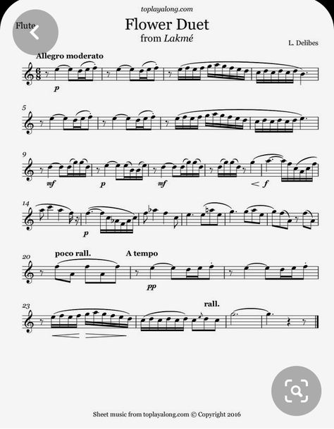 Free Flute Sheet Music, Flute Notes, Flute Lessons, Free Violin Sheet Music, Sheet Music For Flute, Reading Sheet Music, Classical Sheet Music, Clarinet Sheet Music, Violin Lessons