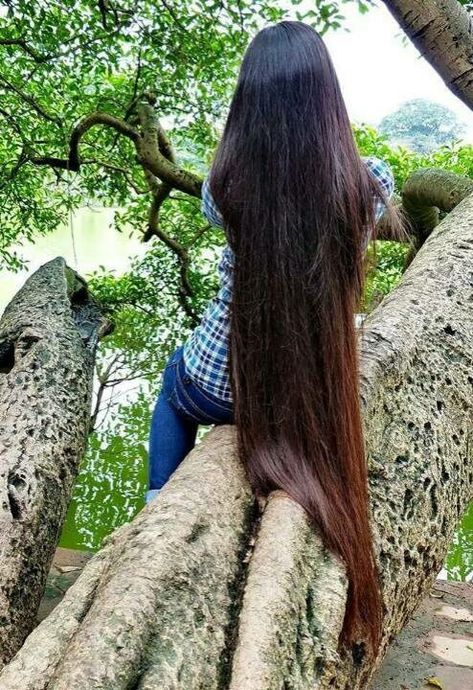 China Long Hair, All Natural Products, Extremely Long Hair, Long Hair Play, Rapunzel Hair, Long Dark Hair, Medium Long Hair, Hair Women, Super Long Hair