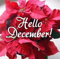 Hello December Pictures, Hallo November, Hello December Quotes, Hello December Images, Bel Après Midi, December Images, December Pictures, Welcome December, December Quotes