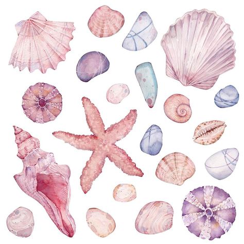 Watercolor sea shells and pebbles Sea Shells Watercolor, Watercolor Background Ideas, Shells Watercolor, Watercolor Shells, Shell Watercolor, Seashell Illustration, Dorm Prints, Scrapbook Letters, Watercolour Ideas